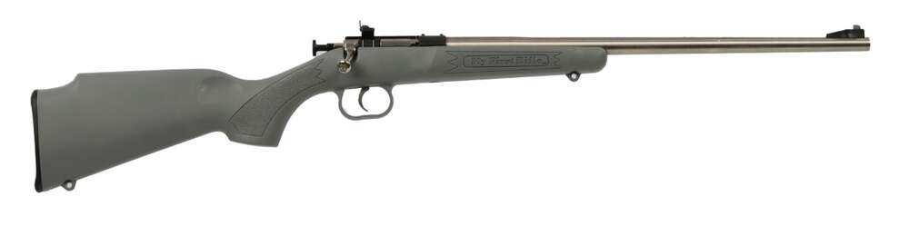 Rifles Long Guns Keystone Sporting Arms Crickett 22LR CRICKETT 22LR SS/GRY &bull; 